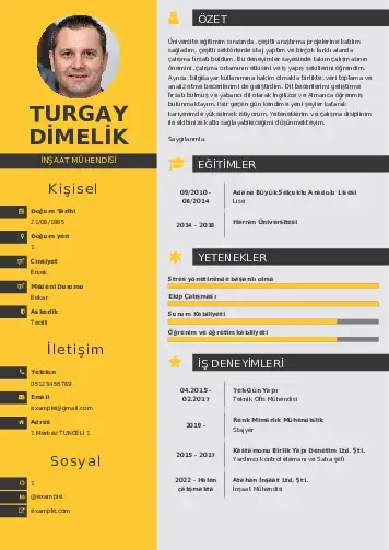 İnşaat Mühendisi Cv Örnekleri cv indir